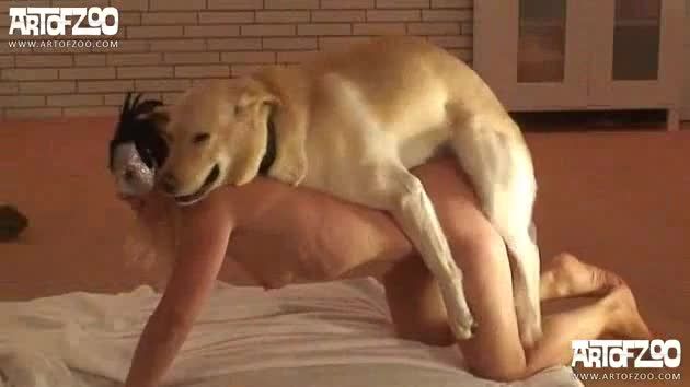 人兽兽交欧美少妇与小黄狗屁股对屁股性交操逼视频