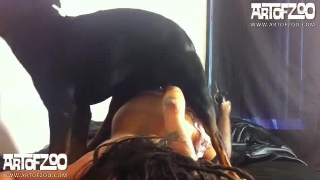 人兽兽交欧美纹身少女夜晚穿着黑丝在床上被罗威纳犬压着操逼性交视频