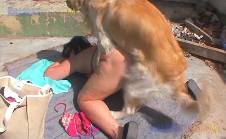 人兽兽交欧美中年微胖丰满少妇周末去野外露营一边晒太阳一边和金毛舔逼操逼性交视频