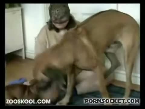 人兽兽交欧美肥胖的中年妇女带着狗头面具与家里的大黄狗舔逼操逼性交视频