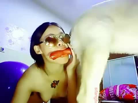 人兽兽交视频亚洲性感苗条女主播在出租屋直播与大狼狗舔鸡巴操逼表演视频